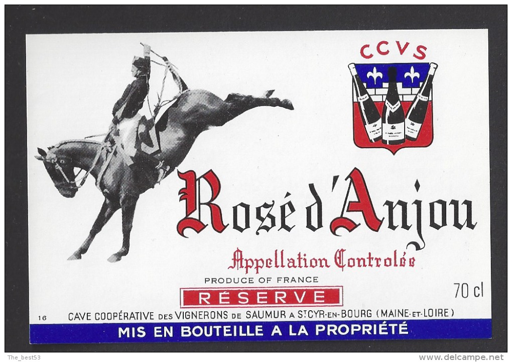 Etiquette  De Vin Rosé D'Anjou-Thème Chevaux Ecole De Cavalerie-Coop. Des Vignerons De  Saumur à Saint Cyr En Bourg (49) - Chevaux