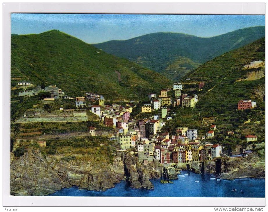 2873  Postal   Italia Cinque  Terre ,riomaggione - La Spezia