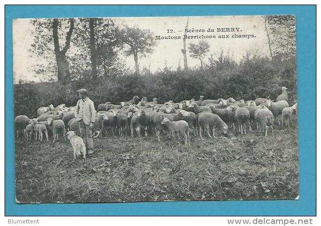 CPA 12 - Scènes DU BERRY - Berger Moutons Berrichons Aux Champs - Other & Unclassified