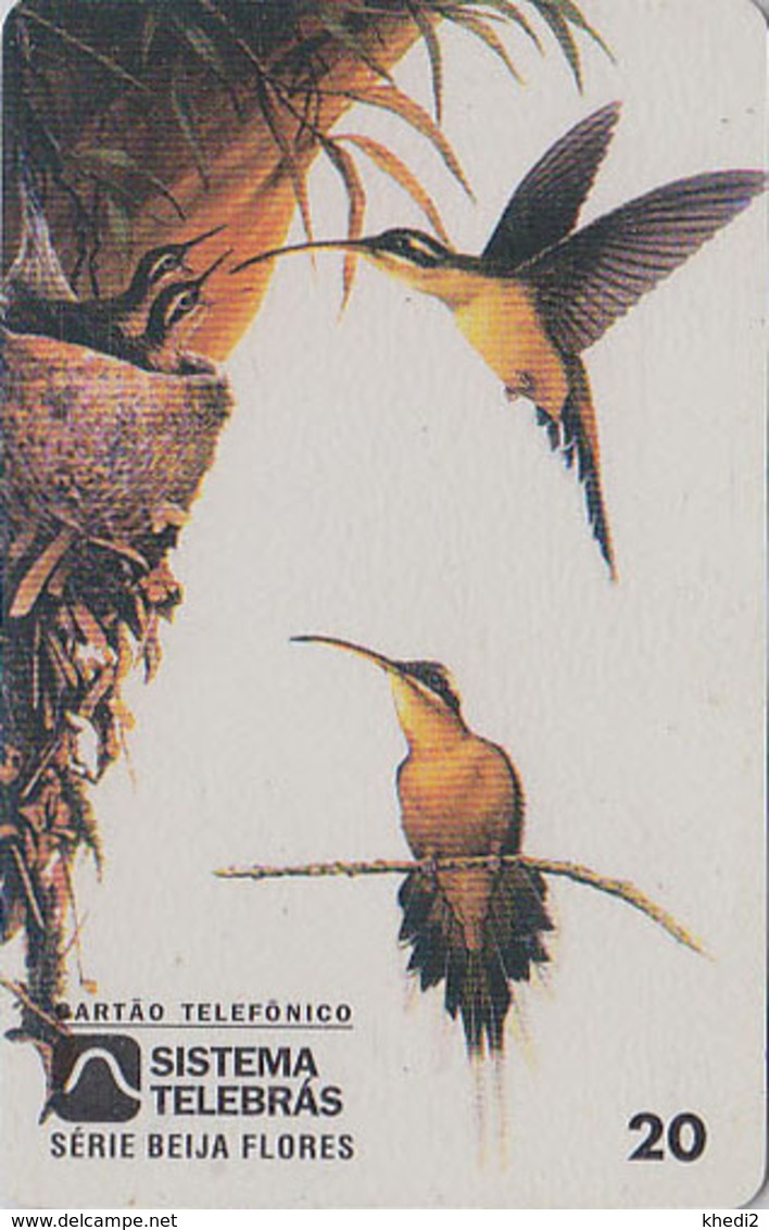 Hummingbird Vogel Kolibri Bird   Postcard #  2 