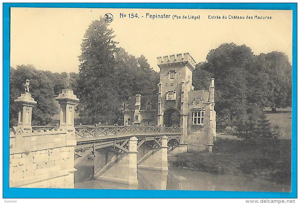 Pepinster (niet Verstuurde Kaart) - Entrée Du Château Des Mazures - Pepinster