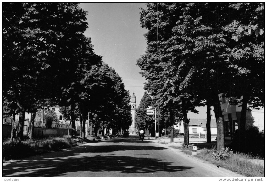 02353 "(PORDENONE) S. VITO AL TAGLIAMENTO - VIALE MADONNA DI ROSA" ANIMATA, BENZINA AQUILA.  CART. NON SPED. - Pordenone