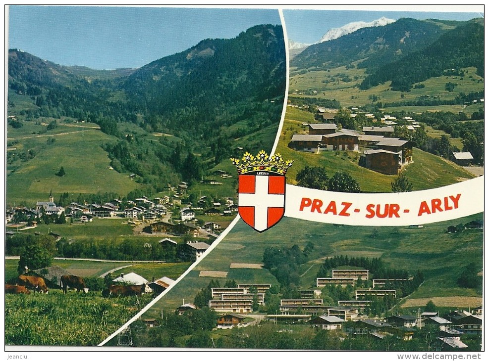 - CPM - MULTIVUES DE PRAZ-SUR-ARLY  -- CARTE NON ECRITE -- - Other & Unclassified