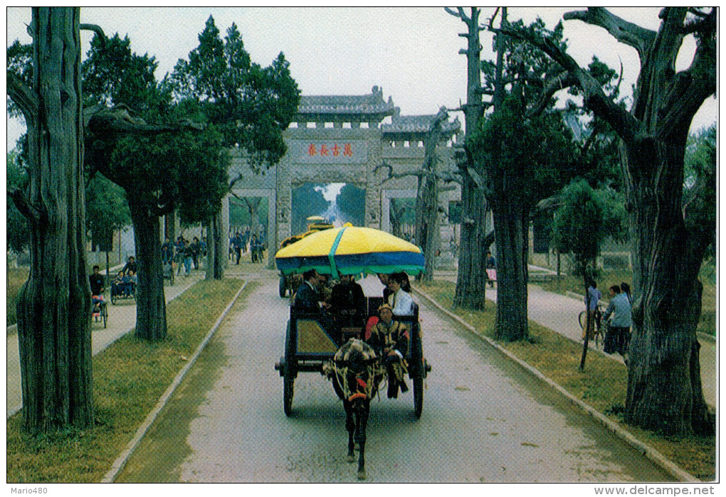 ARCHWAY OF "  AN  EVERLASTING  SPRING  TIME  "     (NUOVA) - Cina