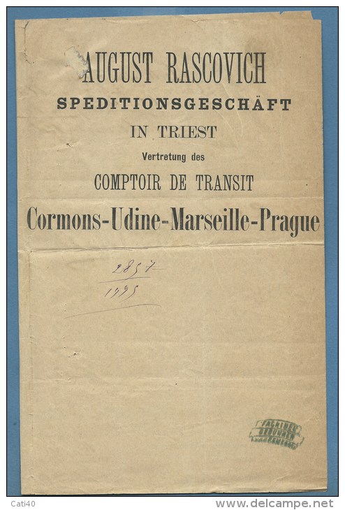 1880 - BIGLIETTO TRASPORTO DA TRIESTE A CONSORZIO BREREGA AD ADRIA VIA CORMONS - Altri & Non Classificati