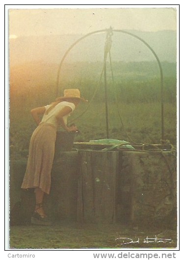 Illustrateur - David Hamilton - N° 21 - Hamilton