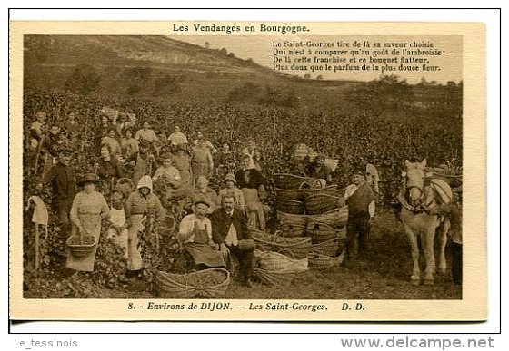 BOURGOGNE - Les Vendanges - Groupe De Femmes Et D'hommes Ayant Participé Aux Vendanges à "Les Saint-Georges" - Bourgogne