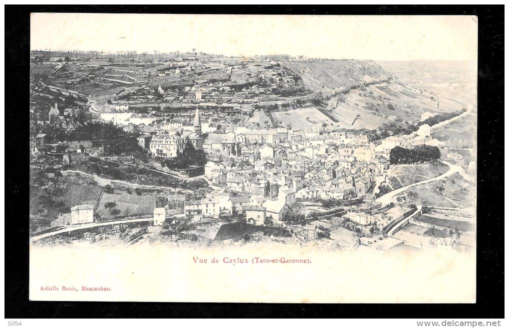 Vue De Caylus (Tarn Et Garonne) - (Caylux Erreur D' Hortographe De L'éditeur   - Haa142 - Caylus