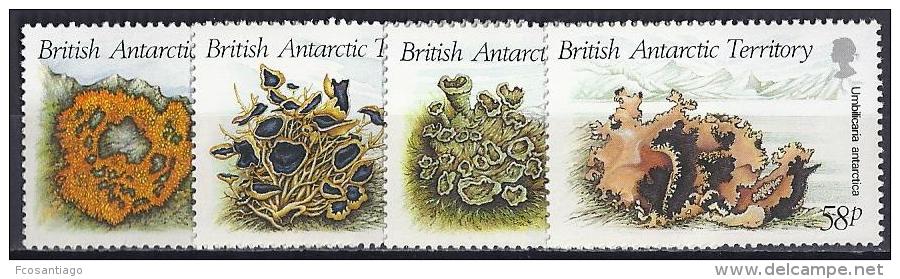 ANTÁRTIDA BRITANICA 1989 - Yvert #172/75 - MNH ** - Nuevos