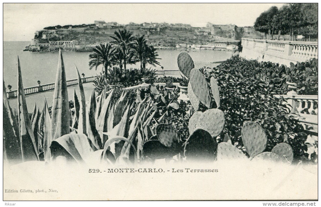 MONACO(CACTUS) - Terraces