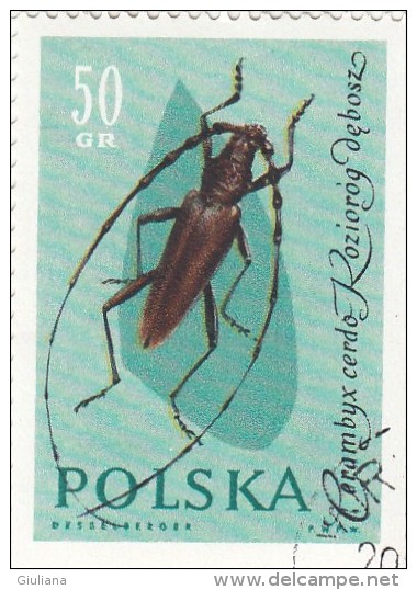 Polonia - 1 Stamps Used - Altri & Non Classificati