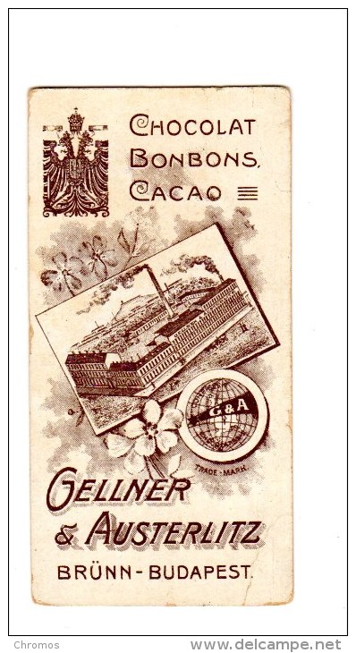 Petite Chromo Pour Chocolat Chocolade Gellner & Austerlitz, Brünn, Tchéquie, Tschechien, Budapest, Hongrie, Ungarn - Sonstige & Ohne Zuordnung