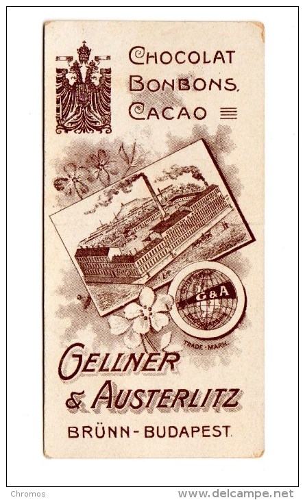 Petite Chromo Pour Chocolat Chocolade Gellner & Austerlitz, Brünn, Tchéquie, Tschechien, Budapest, Hongrie, Ungarn - Other & Unclassified