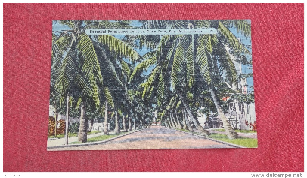 Florida> Key West   Palm Lined Drive In Navy Yard ------   --------------      Ref 1986 - Key West & The Keys