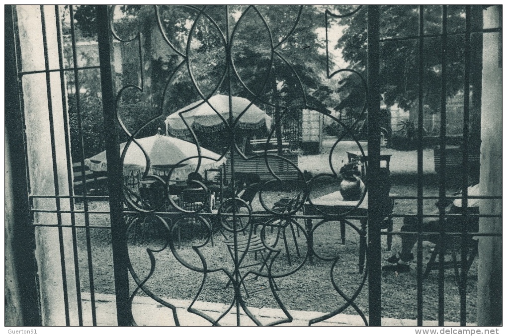 ( CPA 83 )  NANS-LES-PINS  /  Hôtel Châteauneuf - La Terrasse  -  Sur Le Devant - - Nans-les-Pins