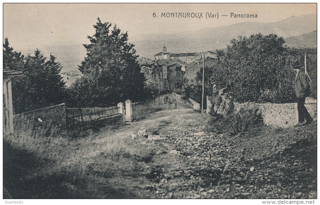 ( CPA 83 )  MONTAUROUX  /  Panorama  - - Montauroux
