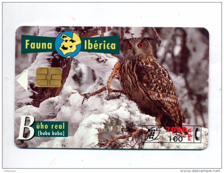 Carte Iberica Theme Hibou - Eulenvögel