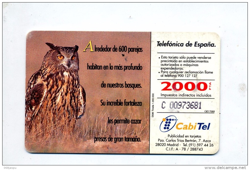 Carte Iberica Theme Hibou - Gufi E Civette