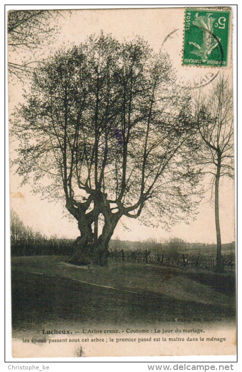 CPA Lucheux, L'Arbre Creuse, Coutume Le Jour De Mariage (pk24241) - Lucheux