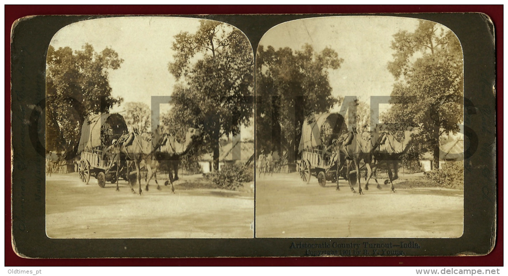 INDIA - ARISTOCRATIC COUNTRY TURNOUT - STEREO - 1900 STEREOSCOPIC REAL PHOTO - Stereoscopes - Side-by-side Viewers