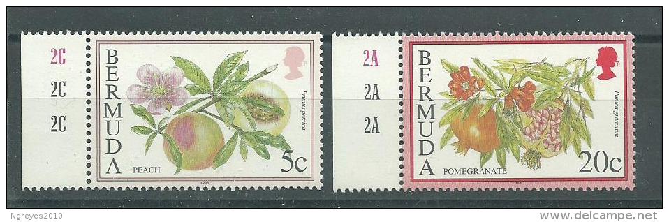 150023233  BERMUDAS  YVERT   Nº 751/4  **/MNH - Bermudas