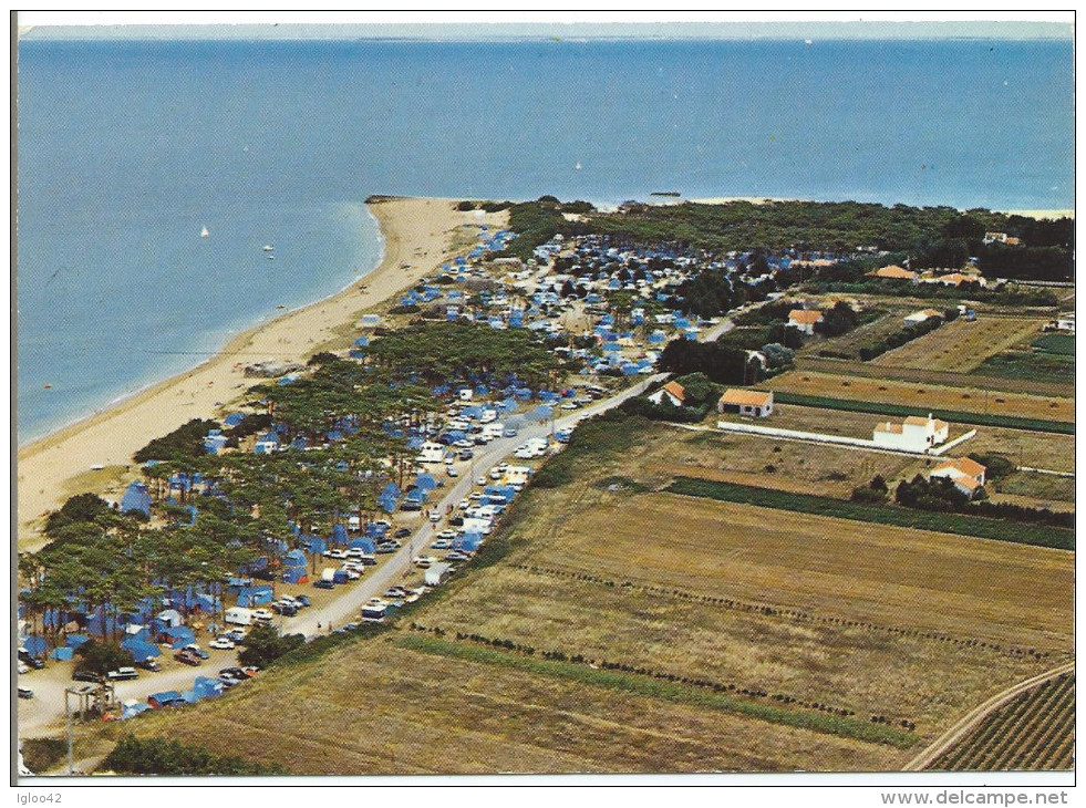 SAINT DENIS D'OLERON - Le Camping Municipal - Ile D'Oléron