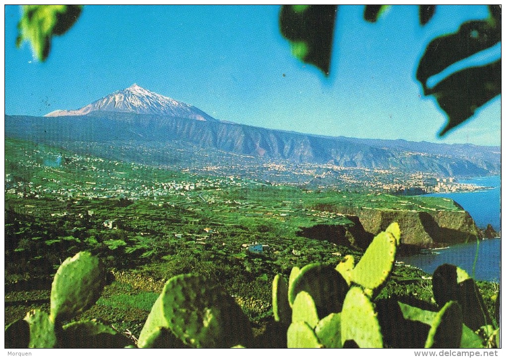 14856. Postal PLAYA De Los CRISTIANOS (Tenerife) 1980 - Cartas & Documentos