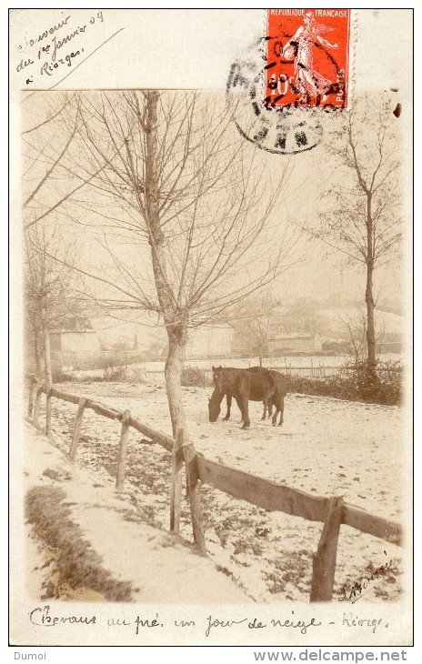 RIORGES  -  Carte Photo   - Souvenir Du 1er Janvier 09  -  Chevaux Au Pré Un Jour De Neige - Riorges