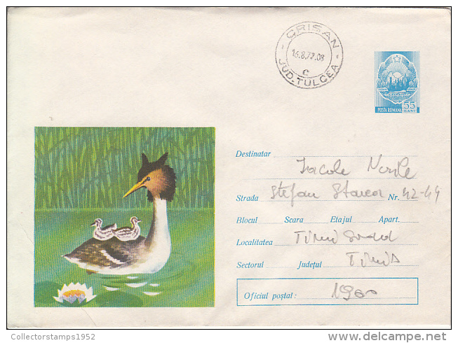 28533- BIRDS, GREAT CRESTED GREBE, COVER STATIONERY, 1977, ROMANIA - Albatros & Stormvogels