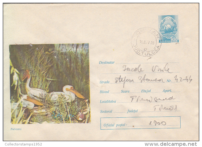 28536- BIRDS, PELICANS, COVER STATIONERY, 1977, ROMANIA - Pélicans