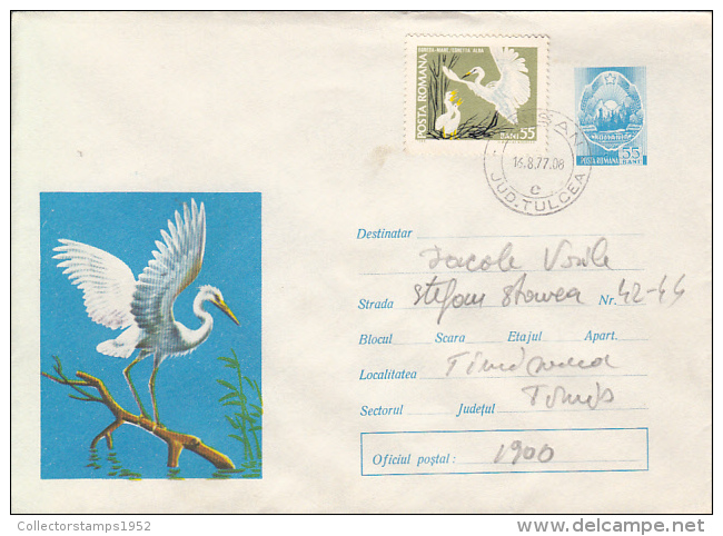 28541- BIRDS, GREAT EGRET, COVER STATIONERY, 1977, ROMANIA - Pelicans