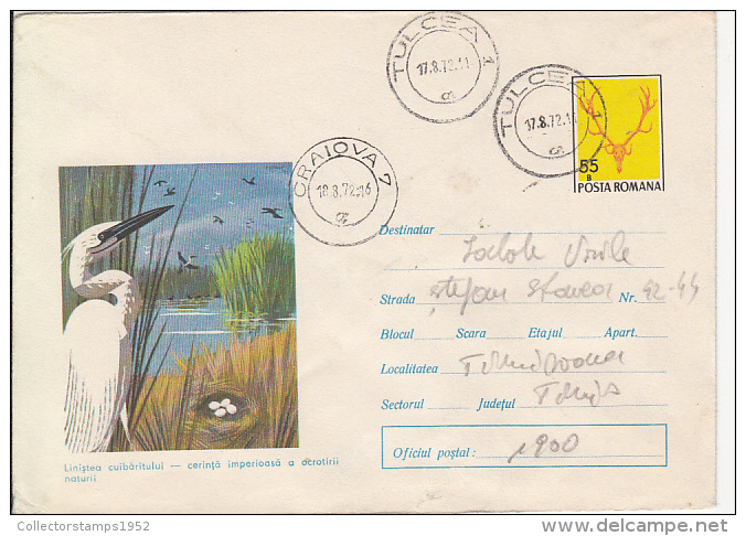 28542- BIRDS, GREAT EGRET, COVER STATIONERY, 1972, ROMANIA - Pélicans