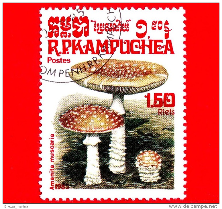 KAMPUCHEA - Cambogia - Usato - 1985 - Funghi - Mushrooms - Amanita Muscaria - 1.50 - Kampuchea