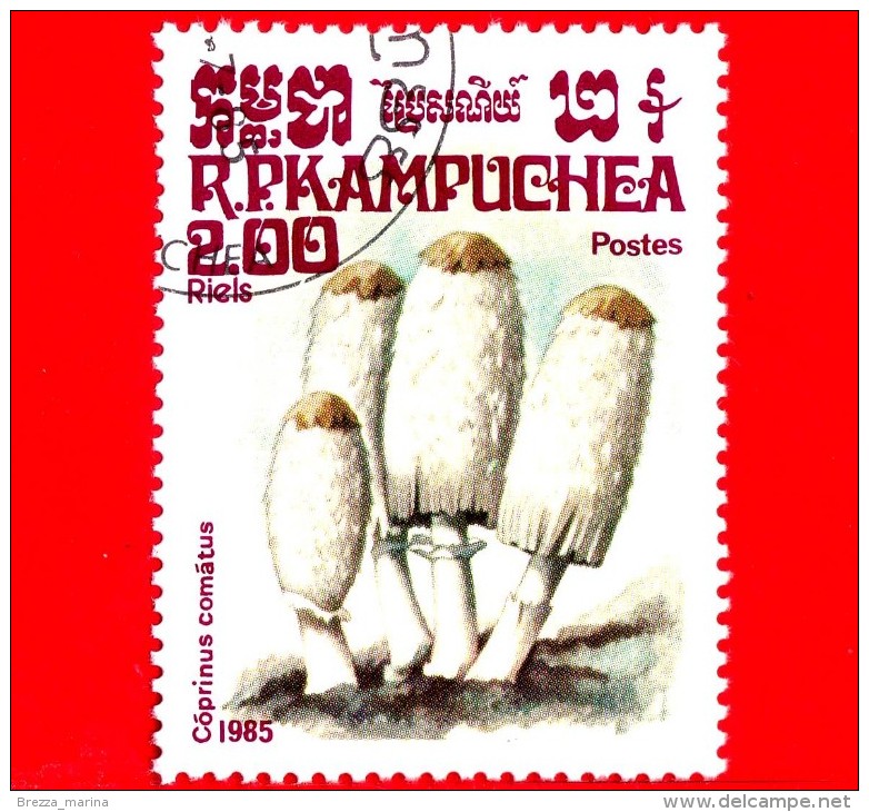 KAMPUCHEA - Cambogia - Usato - 1985 - Funghi - Mushrooms - Coprinus Comatus - 2.00 - Kampuchea