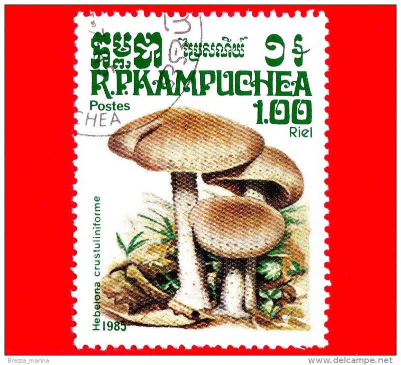 KAMPUCHEA - Cambogia - Usato - 1985 - Funghi - Mushrooms - Hebelona Crustuliniforme - 1.00 - Kampuchea