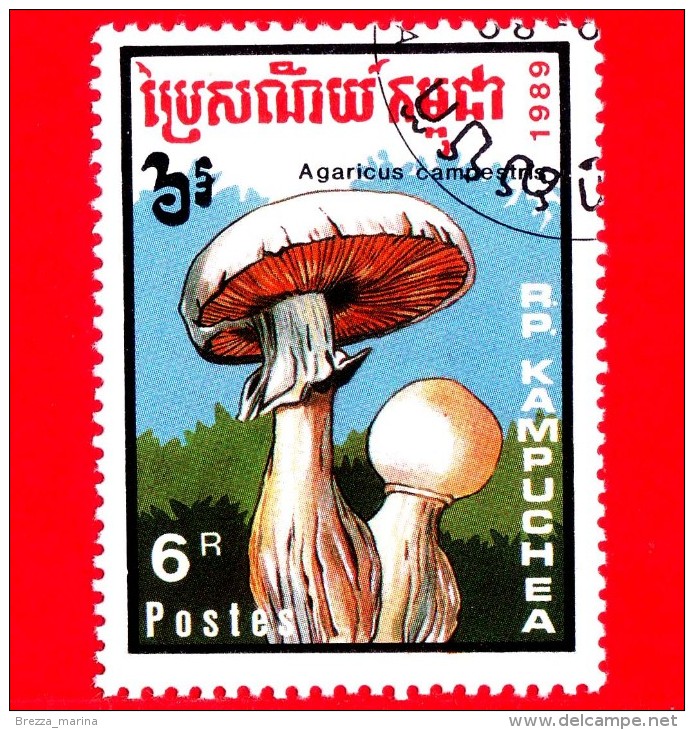 KAMPUCHEA - Cambogia - Usato - 1989 - Funghi - Mushrooms - Agaricus Campestris - 6 - Kampuchea