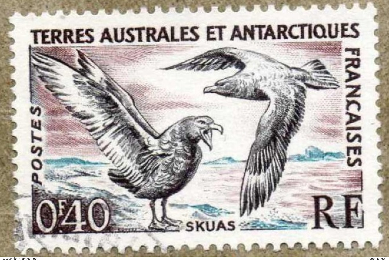 T.A.A.F. - Faune - Oiseau : Skuas (Stercorarius Skua)  Ou Grand Labbe - - Used Stamps