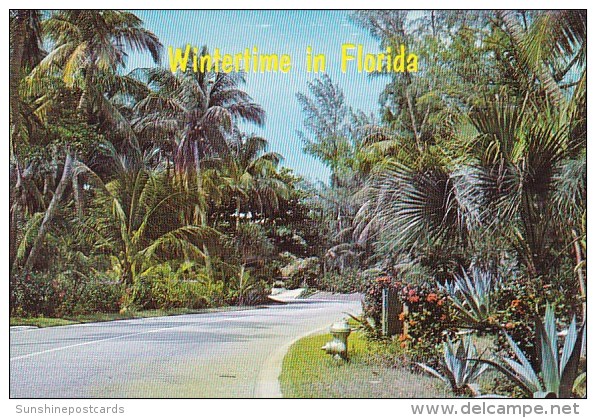 Wintertime In West Palm Beach Florida - West Palm Beach