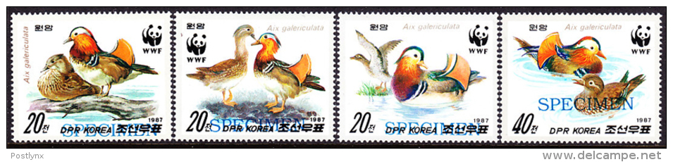 KOREA DPR (north) 1987 WWF Birds A SPECIMEN SET:4    [spécimen,Muster,muestra,saggio] - Unused Stamps