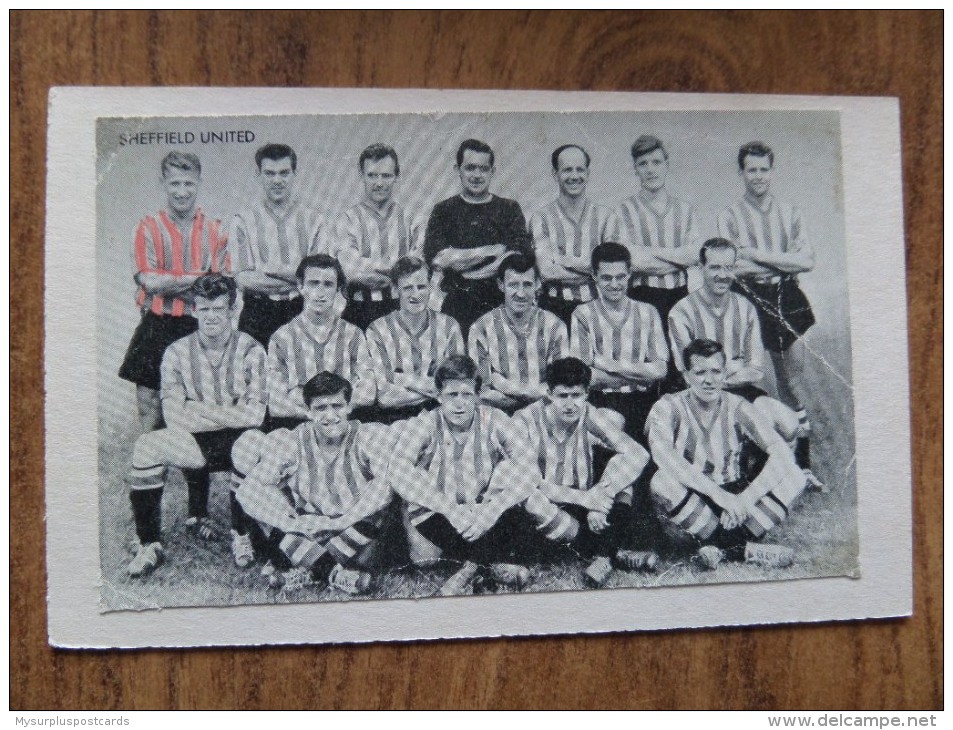 47659 POSTCARD / PHOTOGRAPH: SOCCER / FOOTBALL: Sheffield United. - Soccer