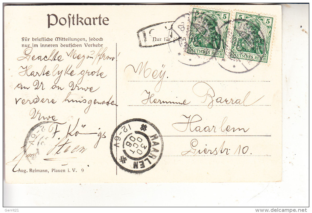 0-9704 FALKENSTEIN - TRIEB, Triebtal, Loreleysteg, 1906 - Falkenstein (Vogtland)