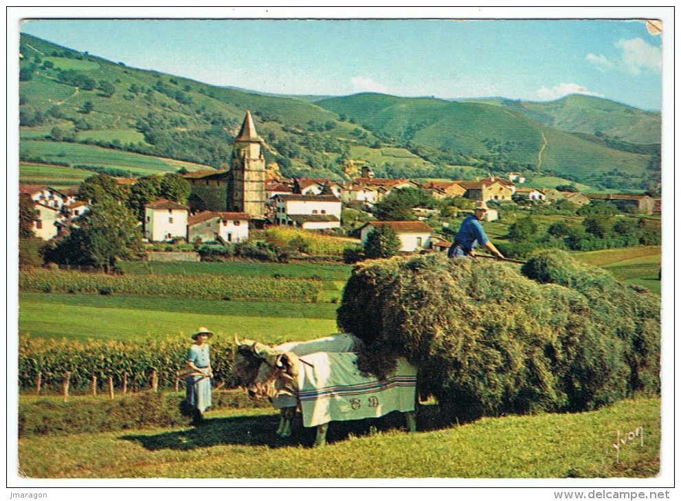 AINHOA -  Village Type Du Pays Basque - Yvon 1024 - écrite - Coin Haut Endommagé Voir Scan - Ainhoa