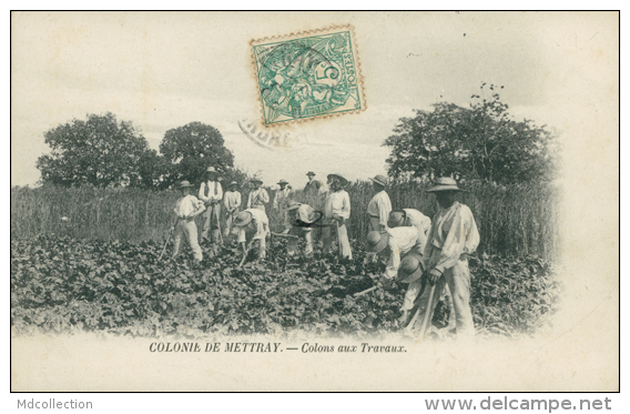 37 METTRAY / La Colonie Agricole, Colons Aux Travaux / - Mettray