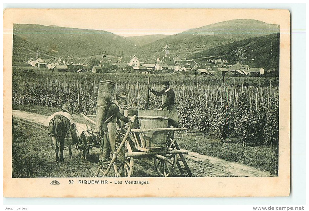 RIQUEWIHR - Métier Vendangeurs - Les Vendanges - Superbe Scène - 2 Scans - Riquewihr