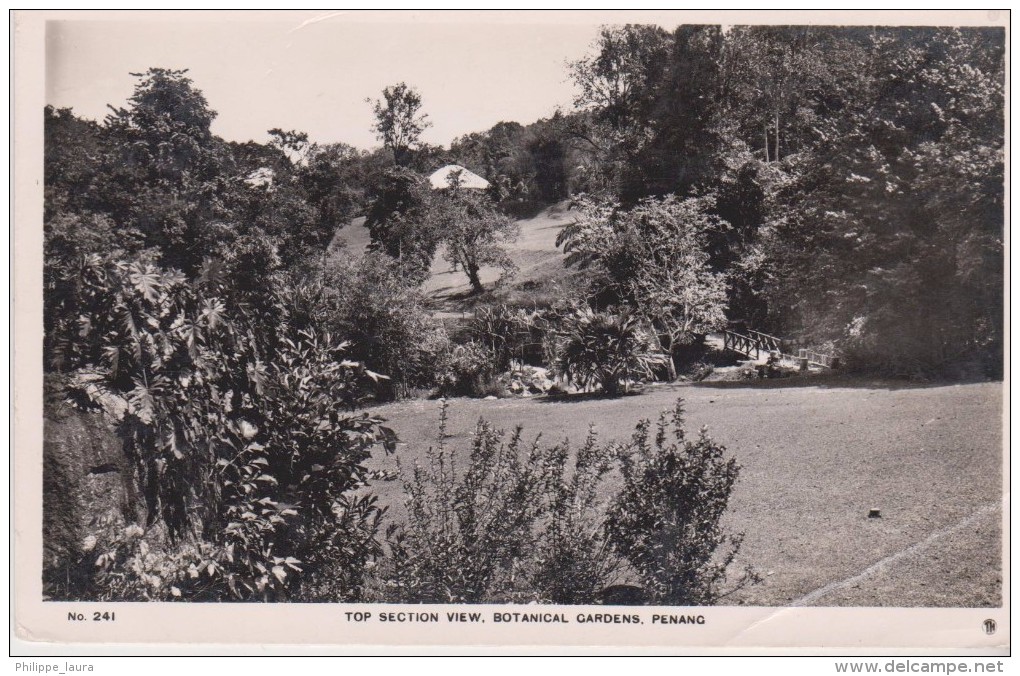 TOP SECTION VIEW, BOTANICAL GARDENS, PENANG - Malasia