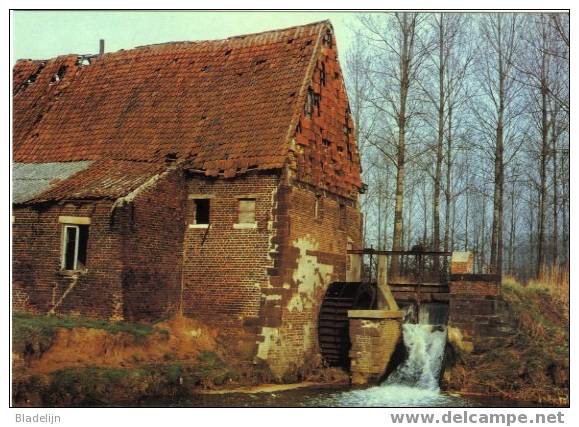 WEZEMAAL Bij Rotselaar (Vlaams-Brabant) - Molen / Moulin à Eau "Uithemmolen" (historische Opname, Later Ingestort) TOP! - Rotselaar