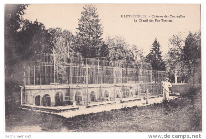 77. HAUTEFEUILLE. Château Des Tournelles. Le Chenil Des Fox-Terriers - Otros & Sin Clasificación