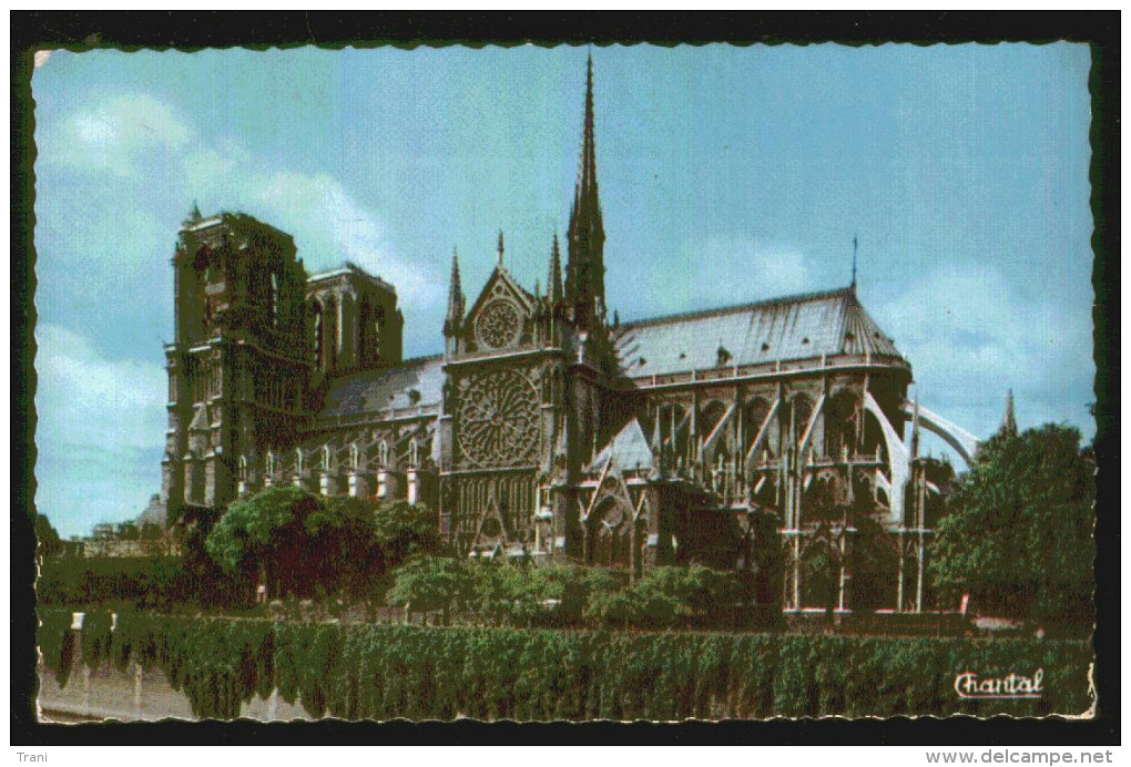 PARIGI - Notre-Dame - Anni '50 - Notre Dame De Paris