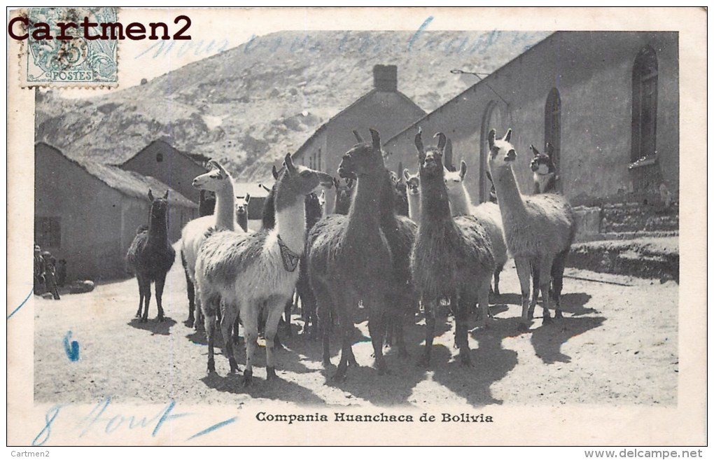 COMPANIA HUANCHACA DE BOLIVIA BOLIVIE LAMA 1900 - Bolivie