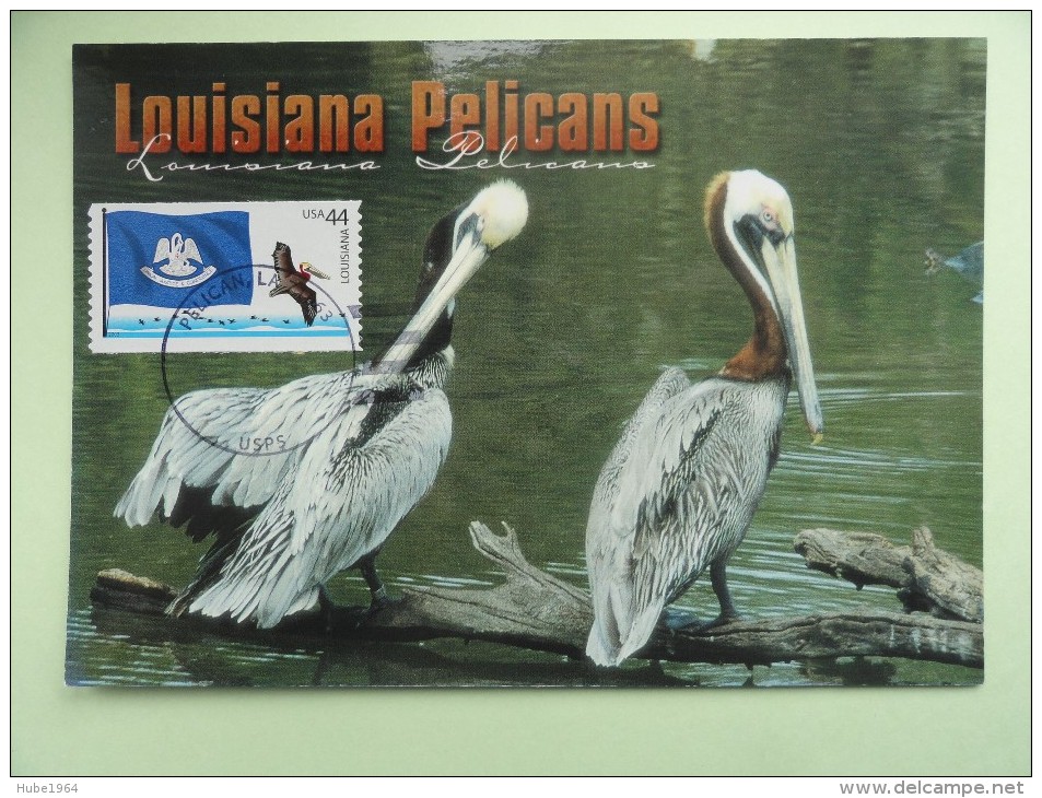 CARTE MAXIMUM CARD PELICANS DE LOUISIANE USA - Pélicans